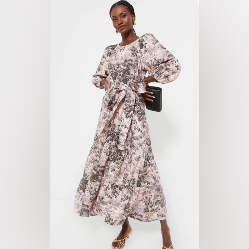Tuckernuck - Toile Lyles Midi Dress - Small - NWT
